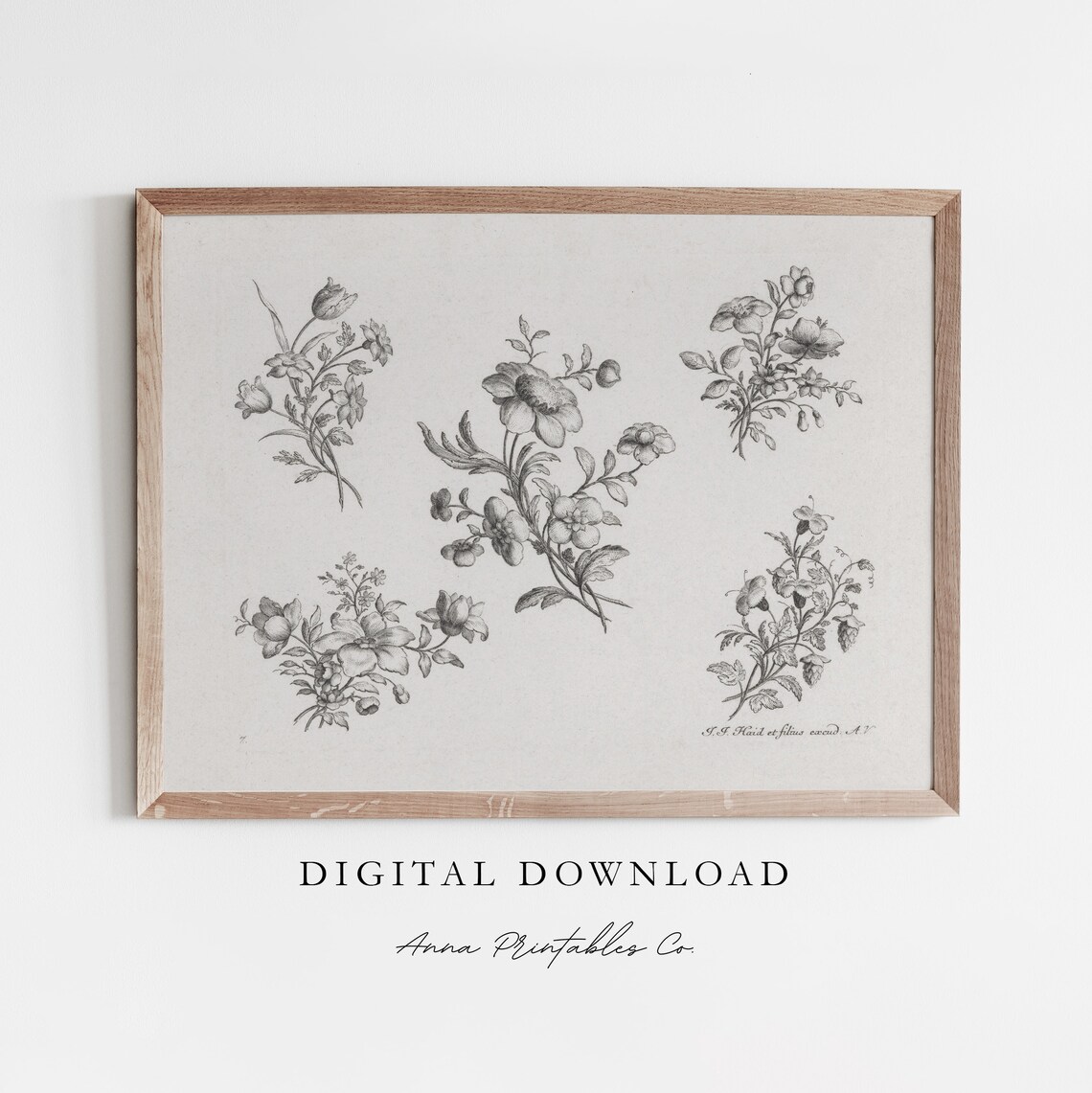 Antique Botanical Flower Engravings Black Ink Vintage Plate Print
