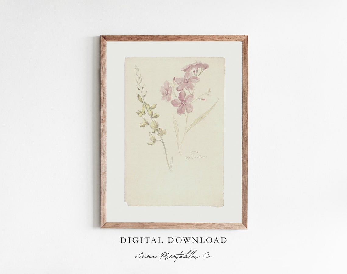 Pink Wildflowers Watercolor on Aged Paper Botanical Art Print