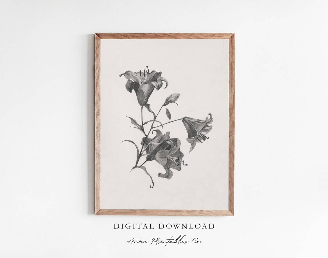 Lilies Sketch Vintage-Inspired Art Print