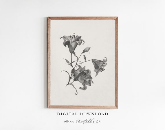 Lilies Sketch Vintage-Inspired Art Print