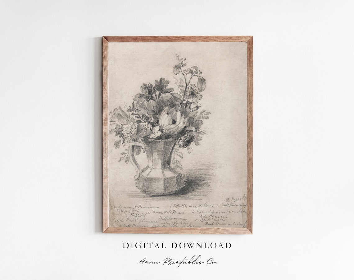 Floral Pitcher Still Life Pencil Sketch Botanical Drawing Poster