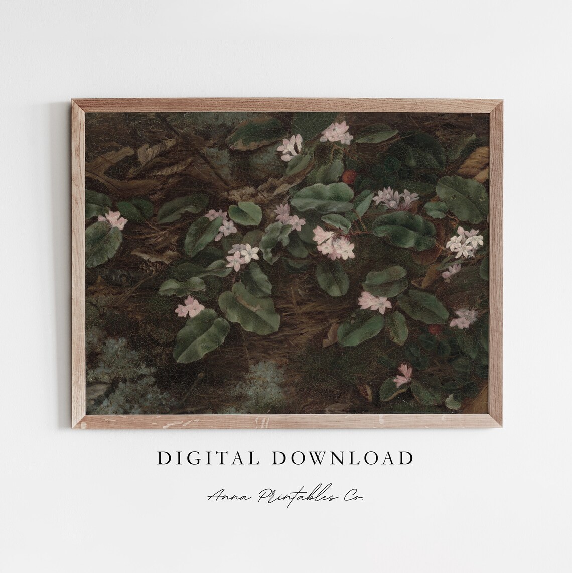 Trailing Arbutus Pink Blossoms Dark Forest Floor Painting Poster