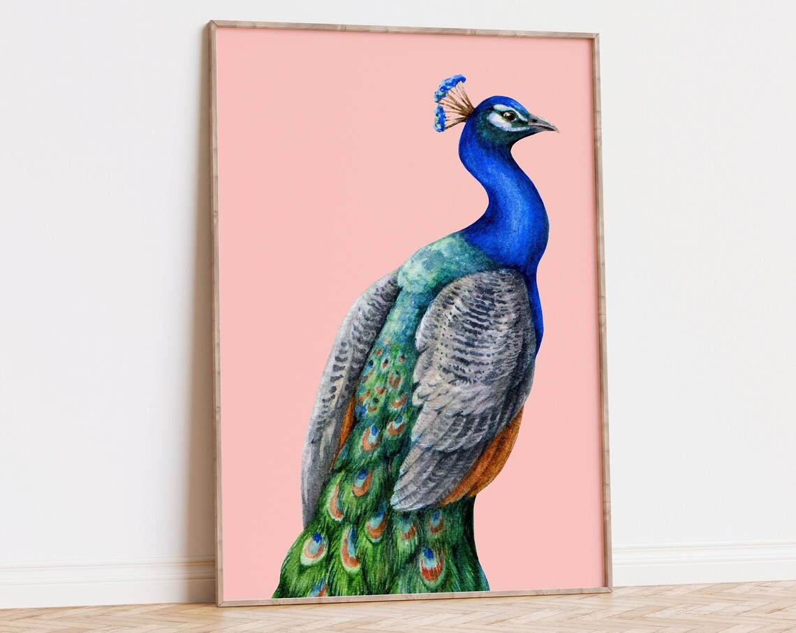 Pink Peacock Boho Mid-Century Modern Art Print