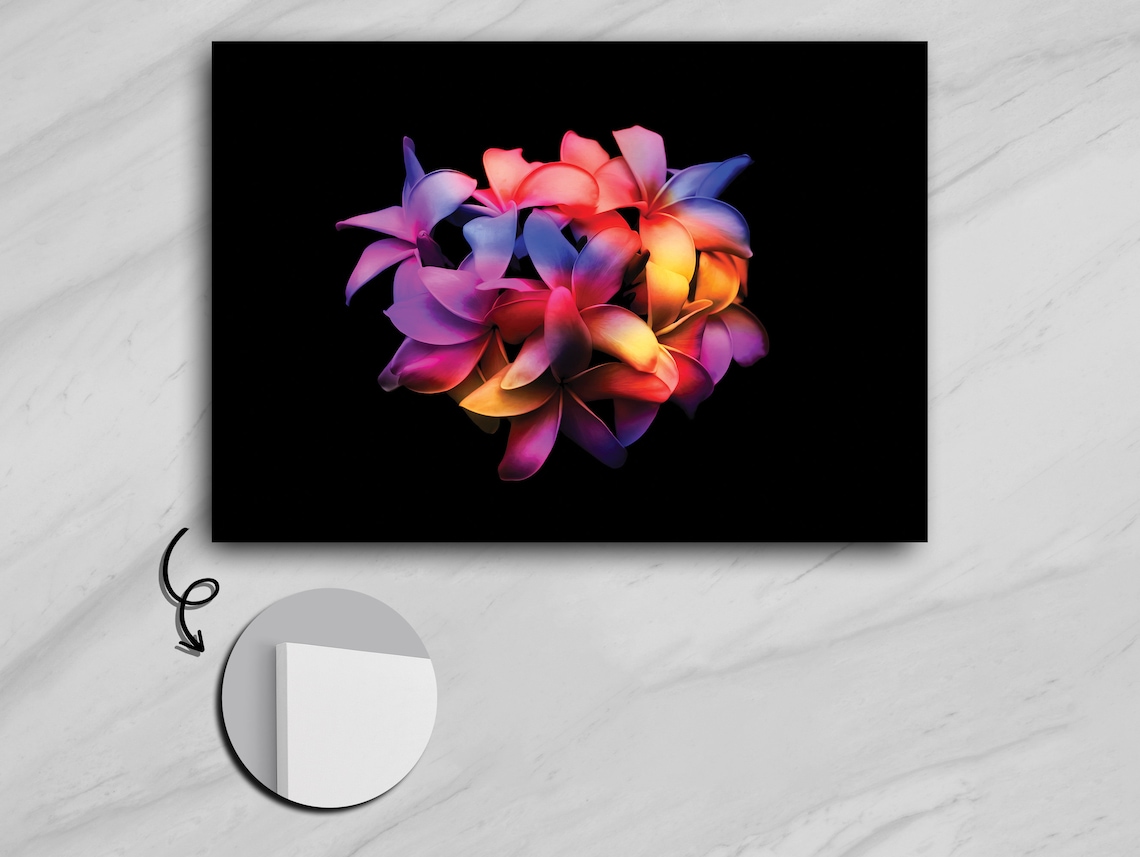 Plumeria Blossoms, Tropical Floral Art Print