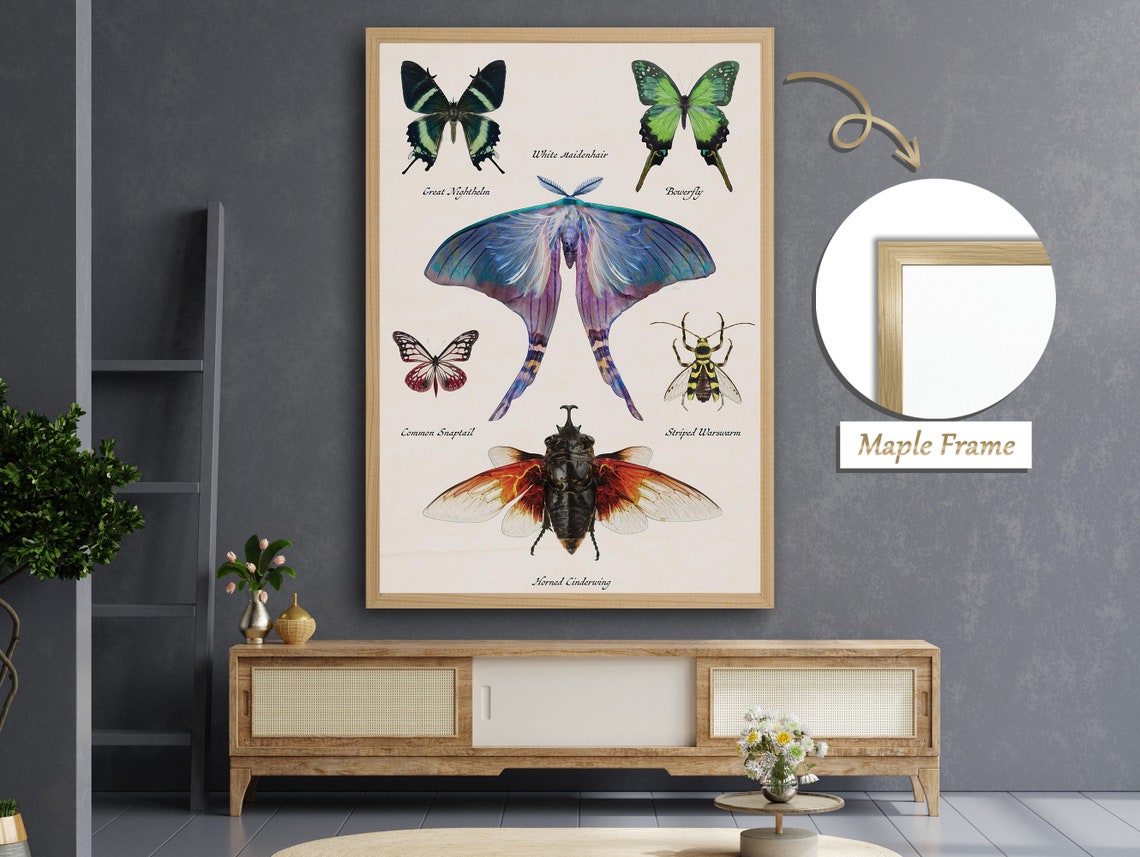 Butterfly Art, Modern Insect Decor - Image 2