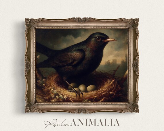Vintage Blackbird In Nest Art Print Moody Neutral Wall Art Antique Style Bird Painting Nursery Wildlife Animal Artwork Bb002