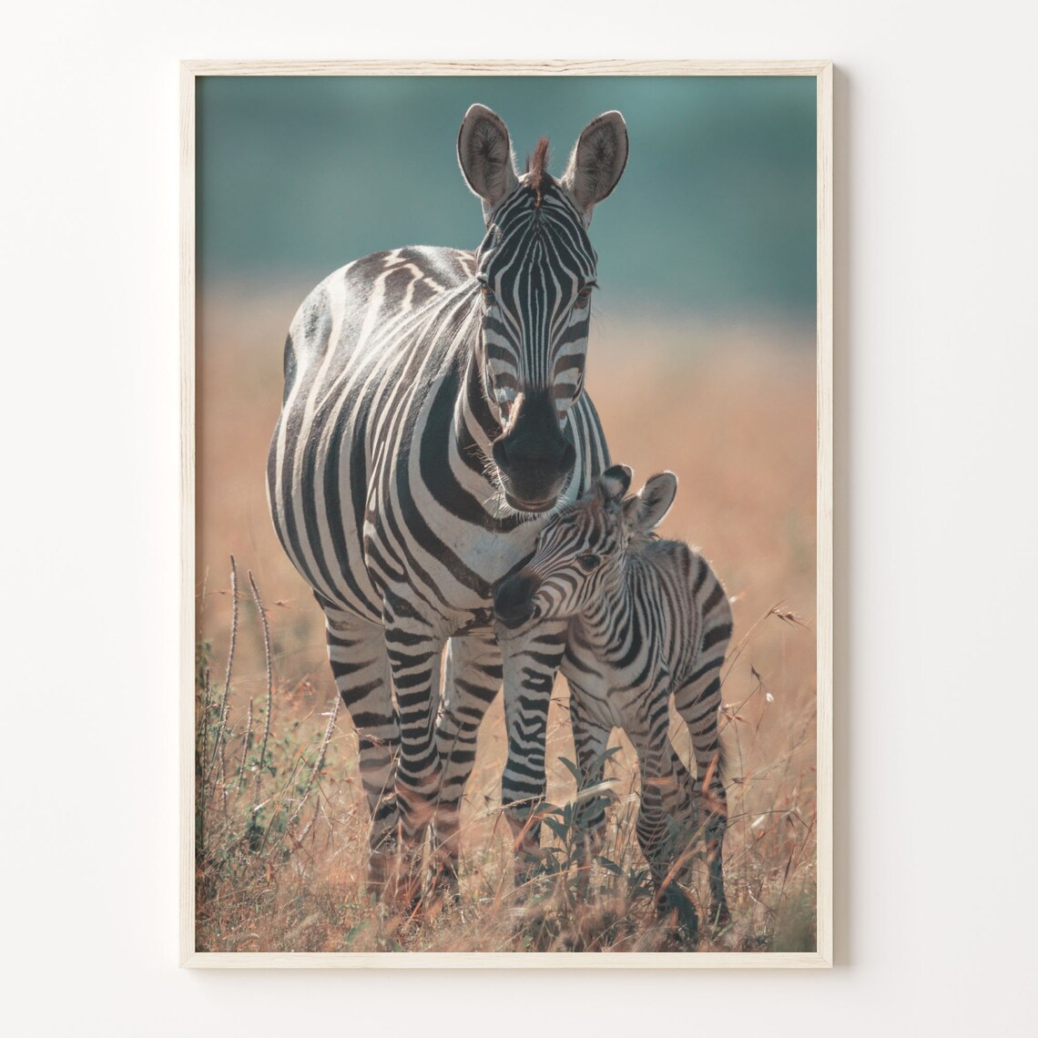 Colorful Zebra Boho Art Print, Wildlife Wall Decor