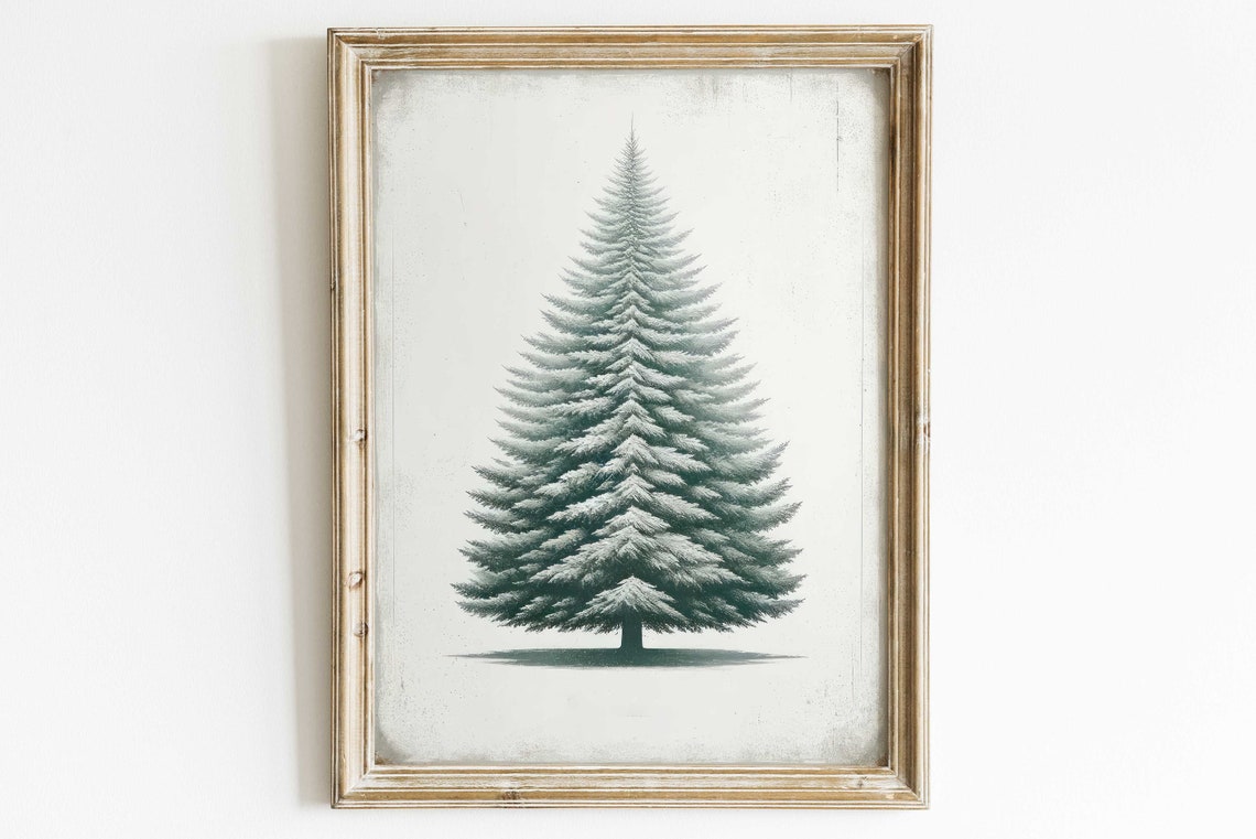 Snow Dusted Fir Tree On White Minimalist Winter Nature Poster Art