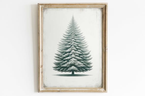 Snow Dusted Fir Tree On White Minimalist Winter Nature Poster Art