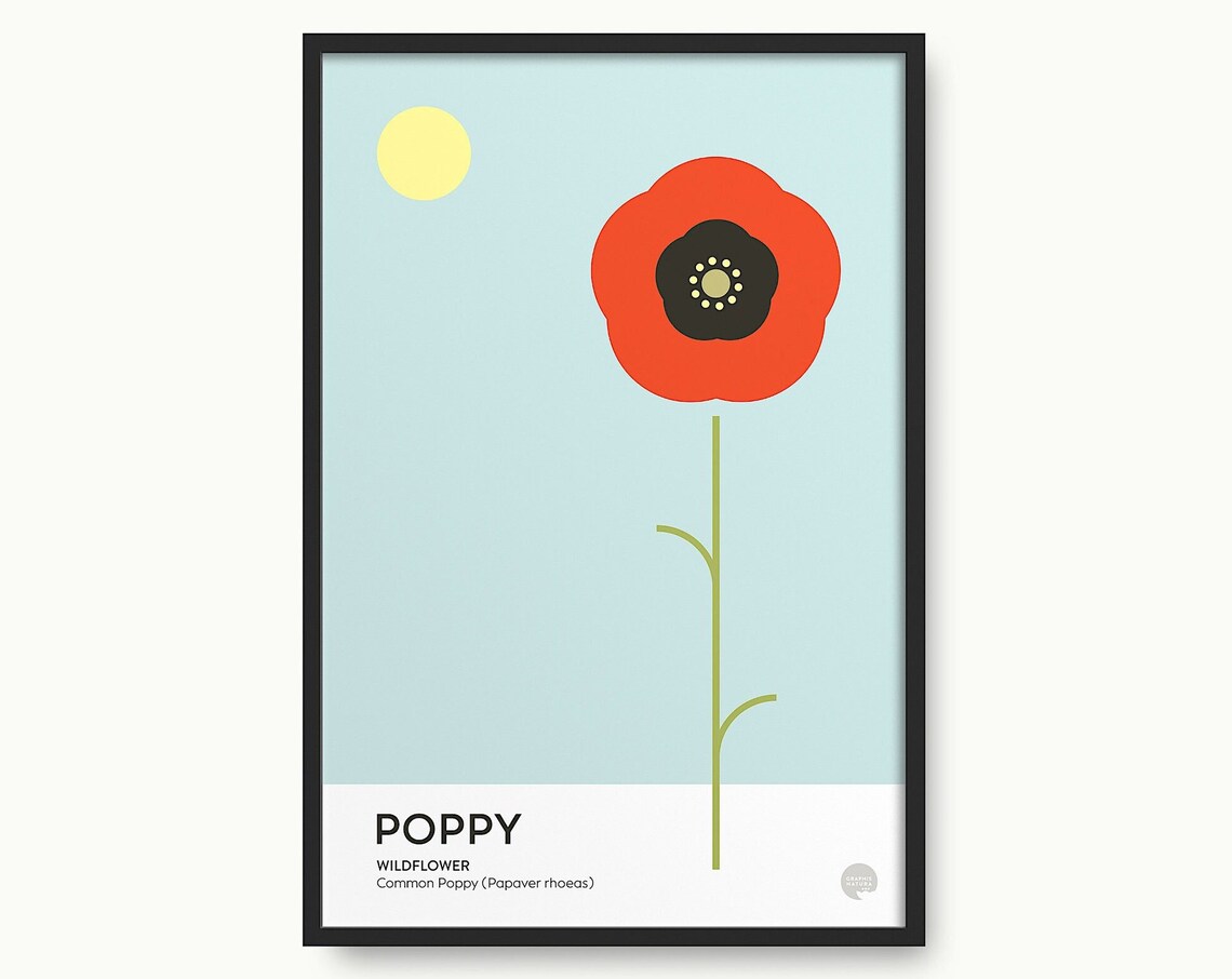 Single Tall Red Poppy Wildflower on Sky Blue Botanical Art Poster