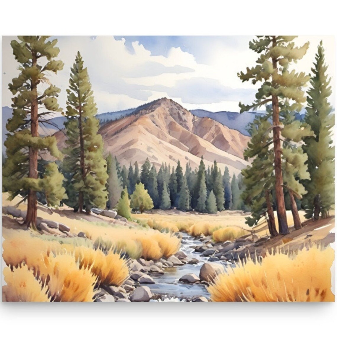 Mountain Stream Valley With Pines And Golden Grasses Watercolor Poster