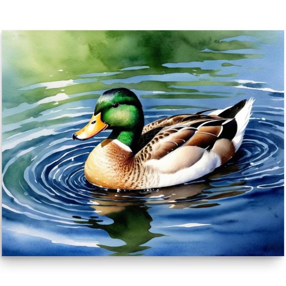 Vibrant Mallard Drake Swimming Pond Watercolor Wildlife Poster