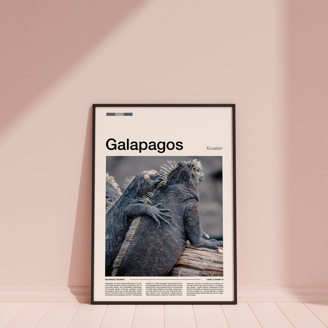 Galapagos Ecuador Marine Iguanas Wildlife Close Up Nature Poster - Image 4