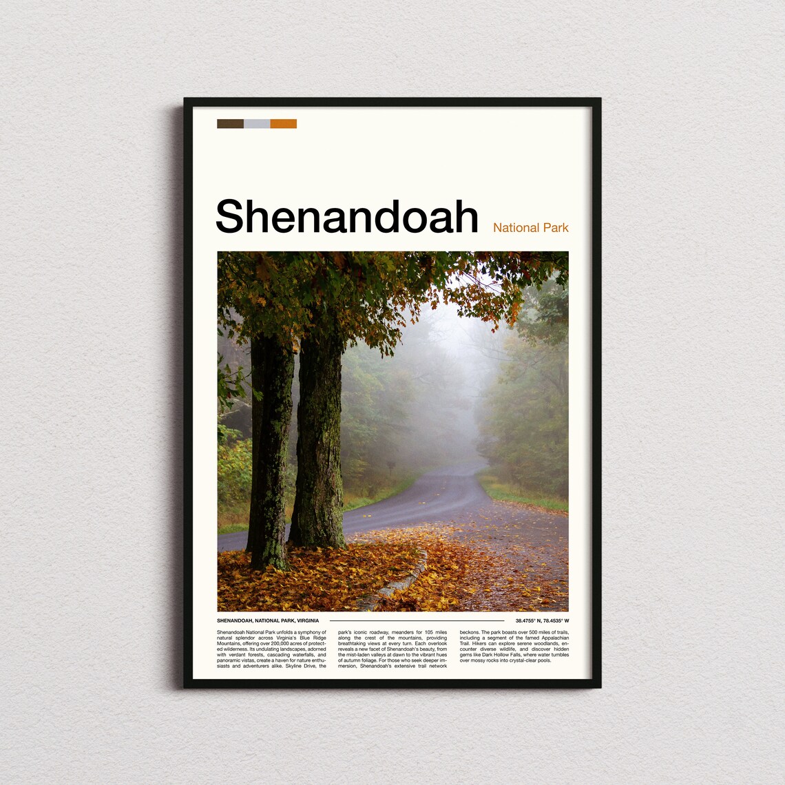 Shenandoah National Park Misty Autumn Road Forest Photo Poster