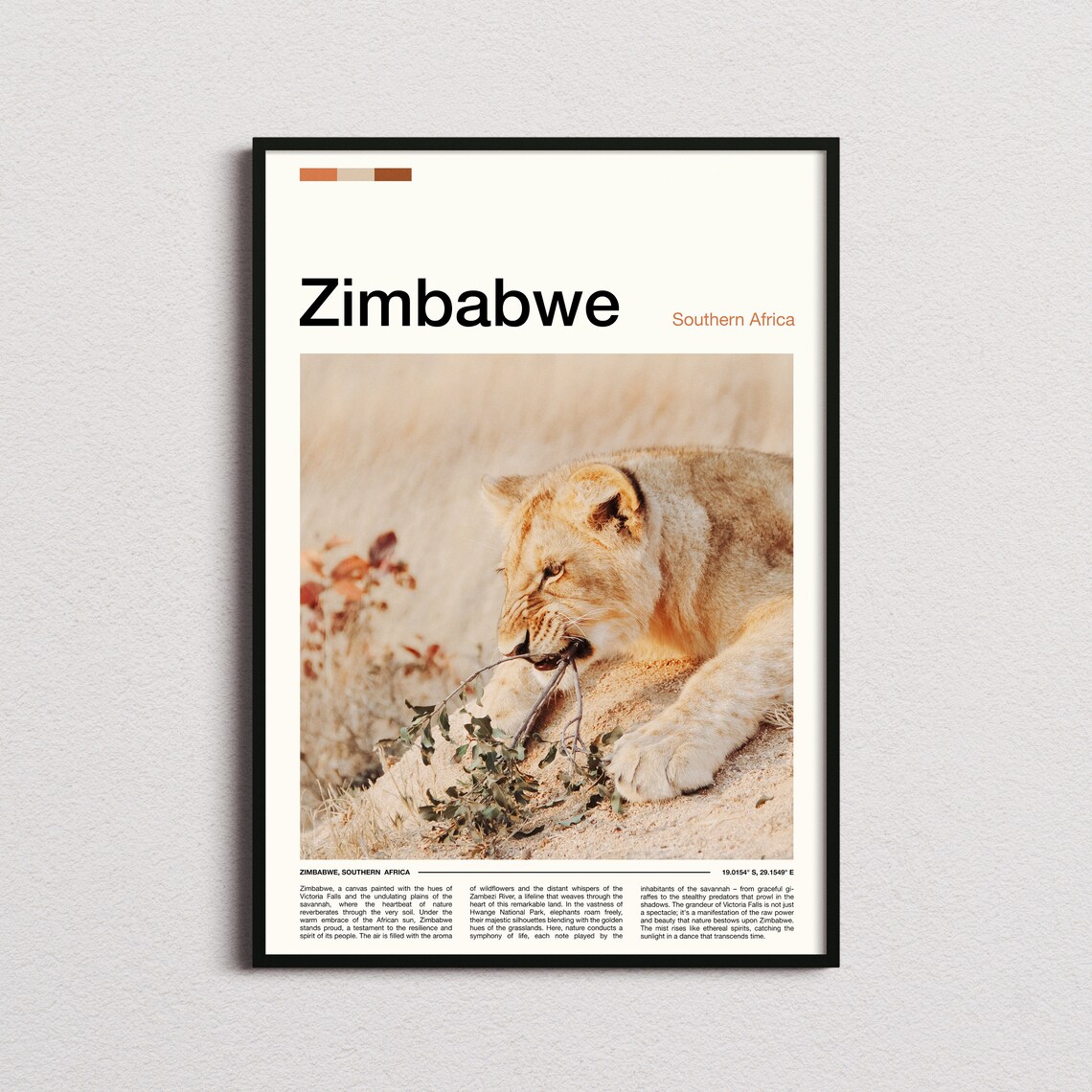 Zimbabwe Southern Africa Young Lion Cub Savanna Wildlife Poster