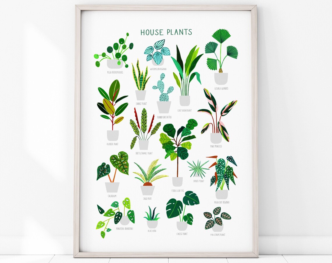 House Plants Botanical Art Print, Botanical Wall Decor - Image 3