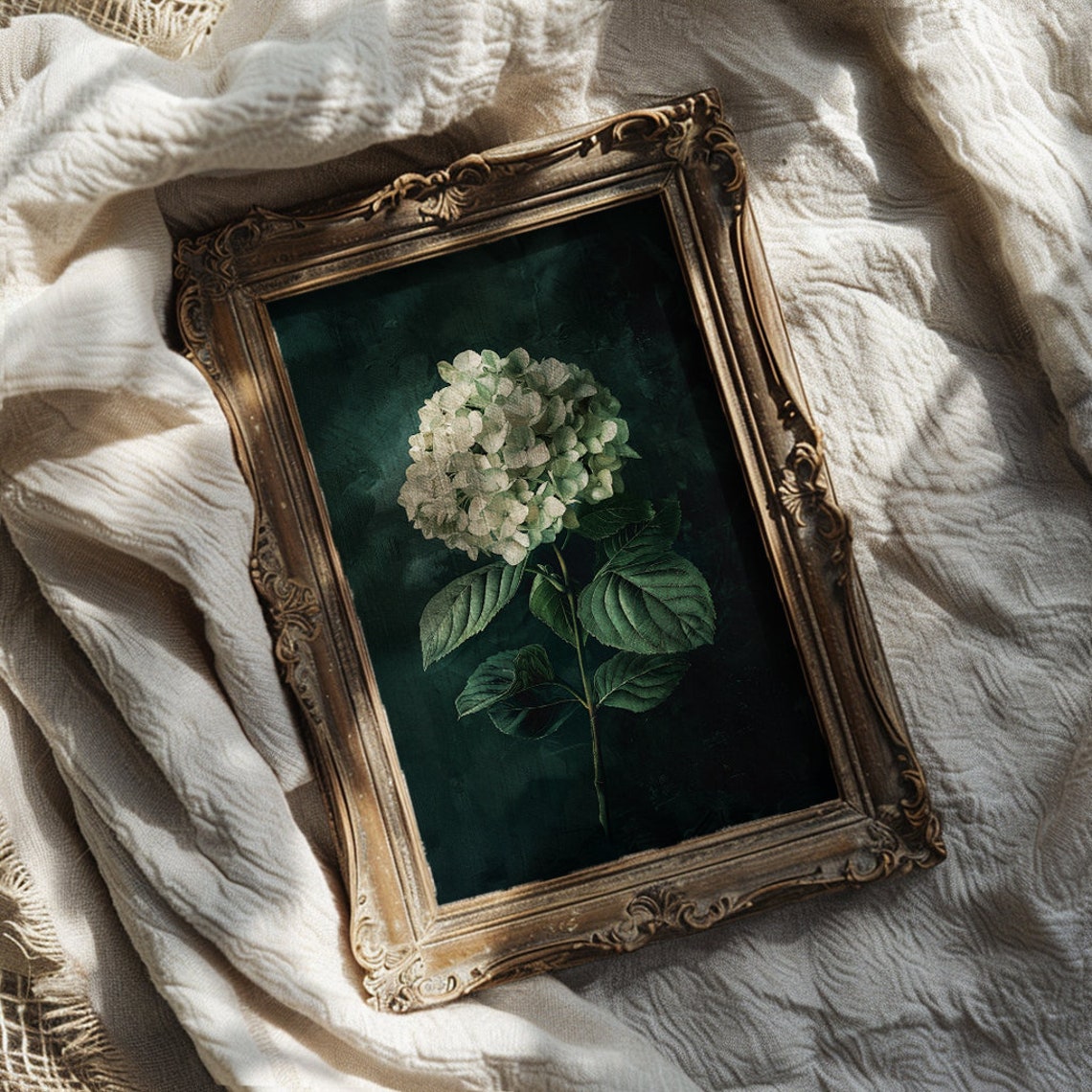 White Hydrangea Bloom Botanical Painting On Dark Background Poster - Image 3