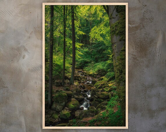 Sunlit Forest Stream Flowing Over Mossy Rocks In Green Woodland Poster
