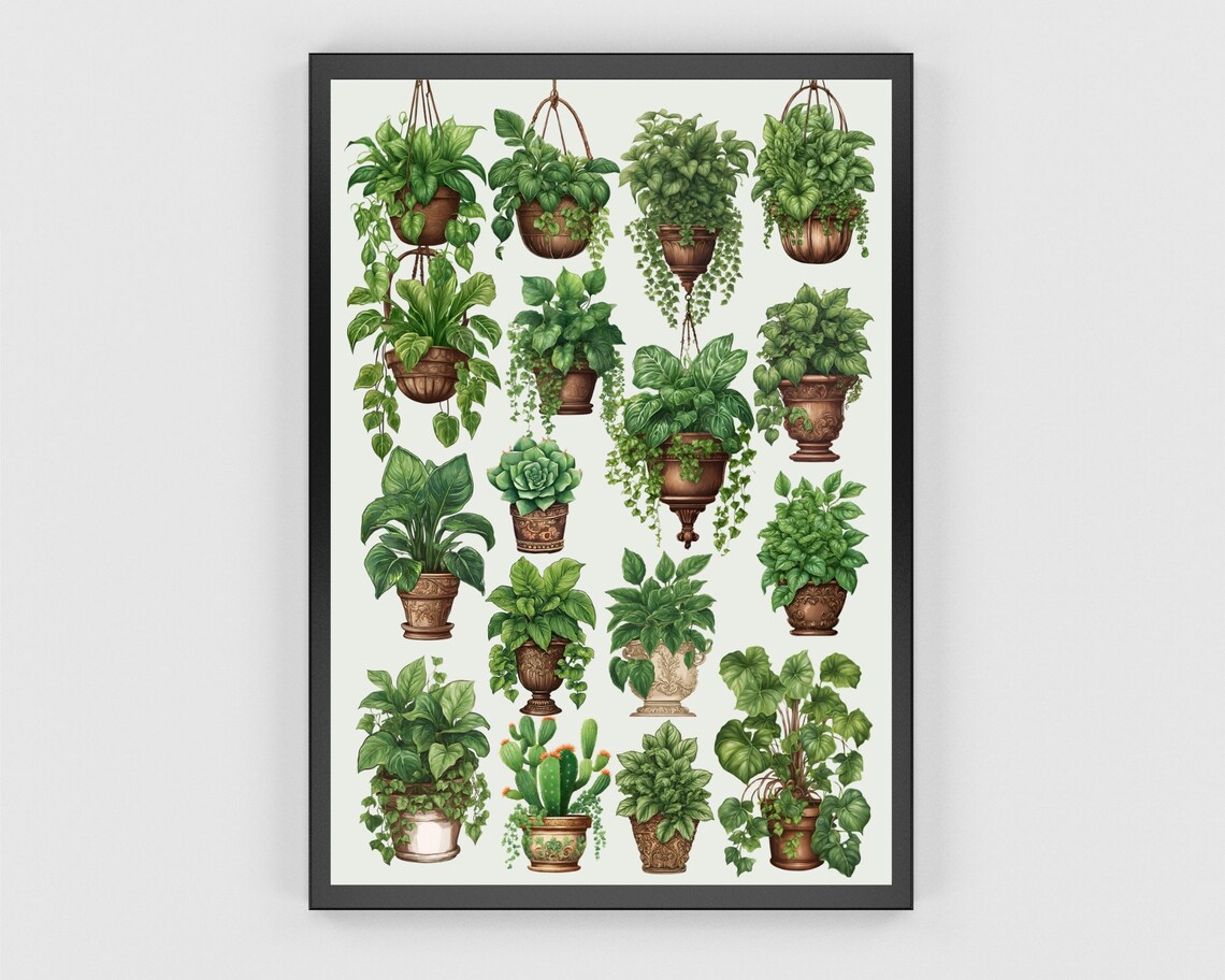 House Plants Boho Botanical Plant Illustration Art Print - Image 3