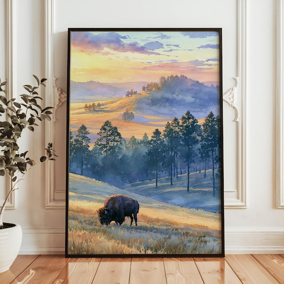 Wind Cave National Park Bison Grazing Golden Meadow Sunrise Poster