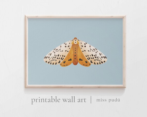 Moth Illustration Modern Wildlife Garden Art Print