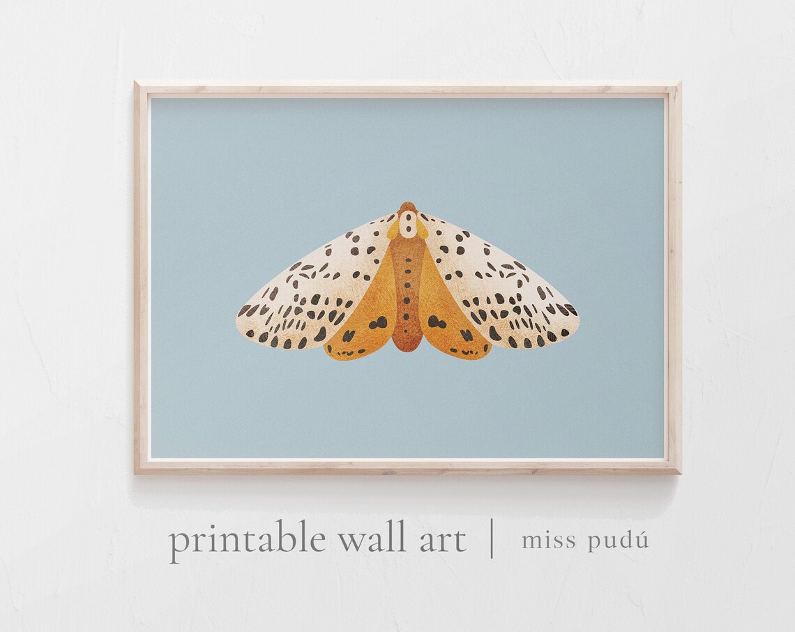 Moth Illustration Modern Wildlife Garden Art Print