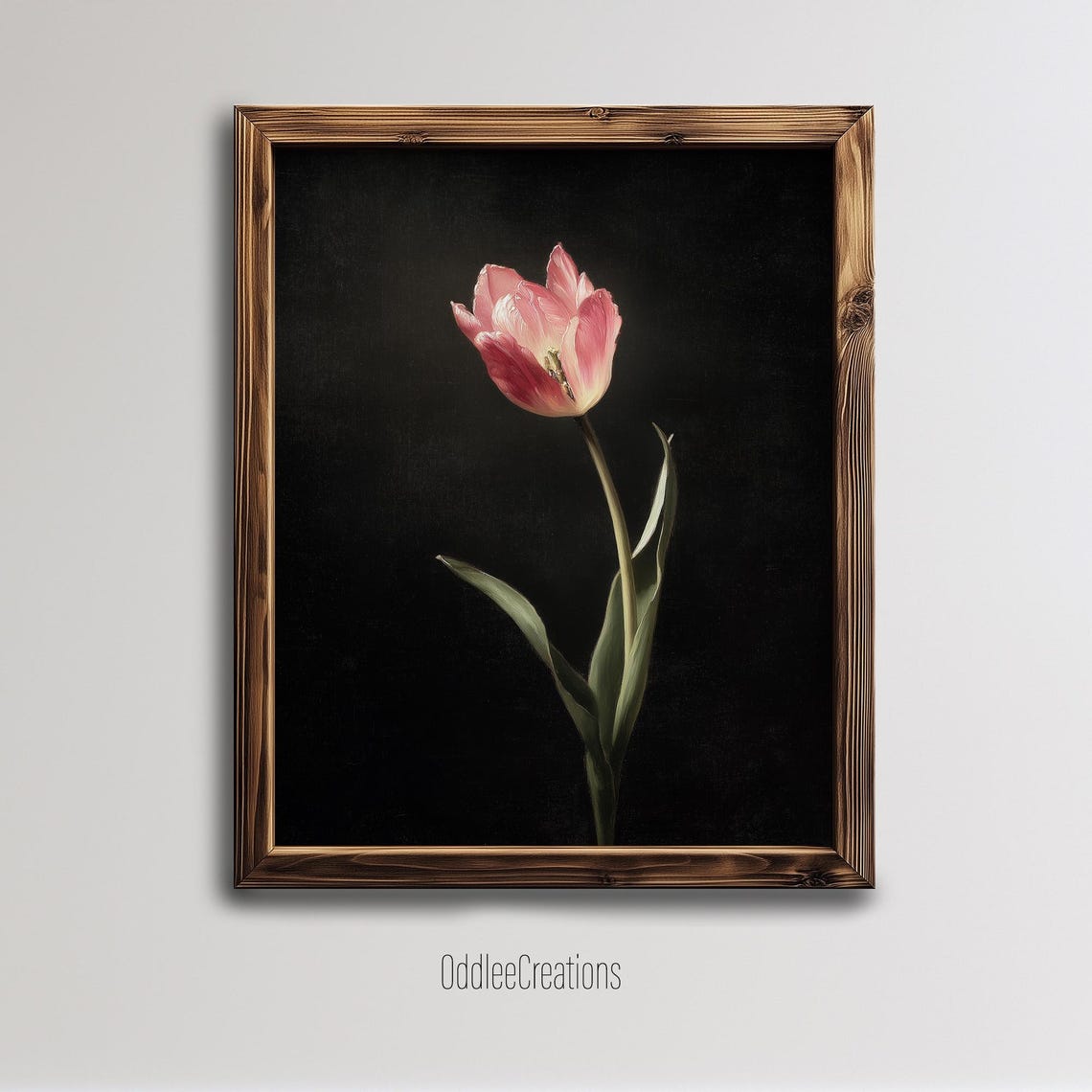 Pink Tulip Single Bloom Black Background Vintage Floral Poster