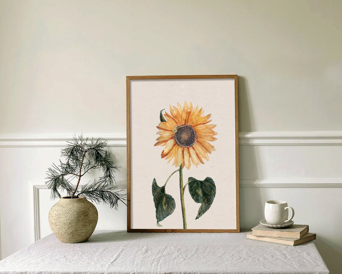 Single Sunflower Bloom Antique Botanical Illustration Art Poster - Image 4