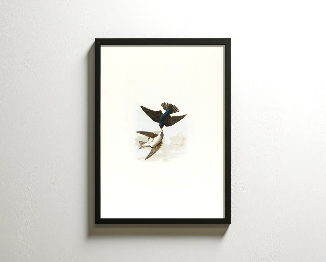 Two Songbirds Flying Antique Bird Engraving Vintage Nature Poster - Image 2