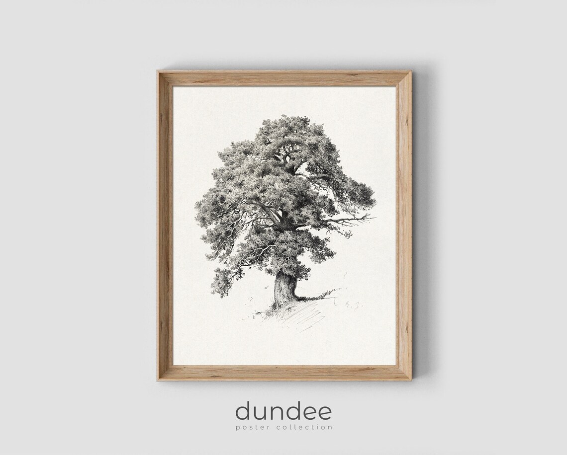 Old Oak Tree Detailed Pencil Drawing Vintage Nature Sketch Poster