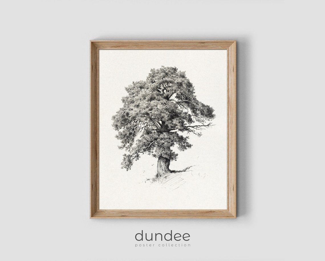 Vintage Tree Sketch Neutral Tree Drawing Vintage Tree Landscape Scenery Print Pencil Drawing