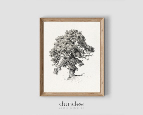 Vintage Tree Sketch Neutral Tree Drawing Vintage Tree Landscape Scenery Print Pencil Drawing