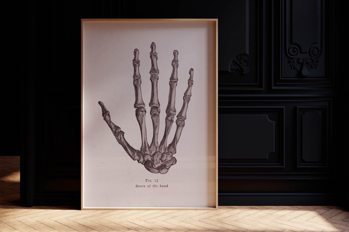 Vintage Anatomy Hand Skeleton Bones Of The Hand Figure 12 Poster - Image 5