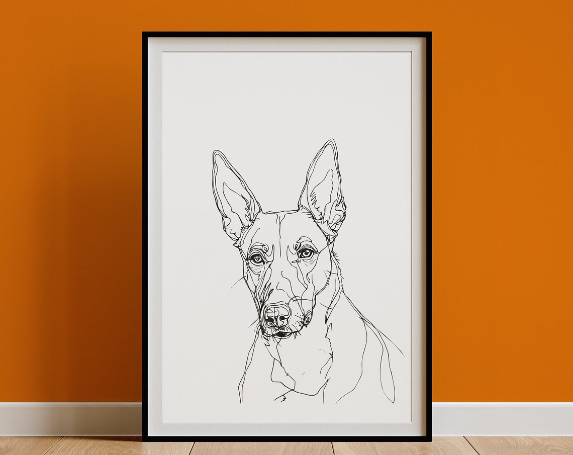 Belgian Malinois Head Close-Up Minimalist Line Art Portrait Poster