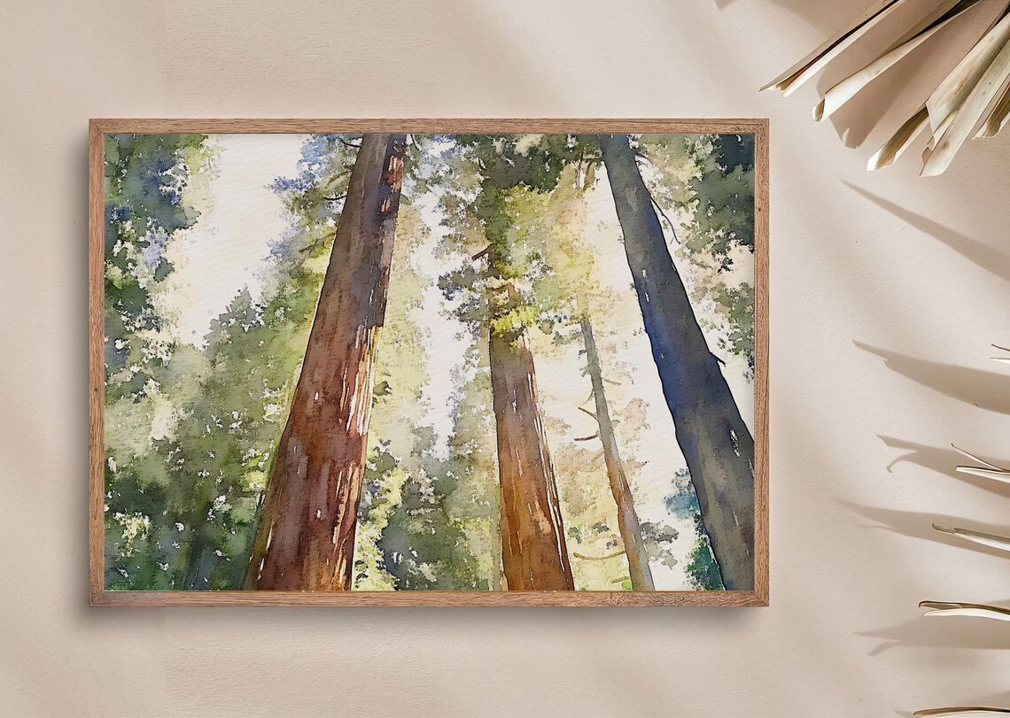 Humboldt Redwoods Watercolor Art Print, National Park - Image 3