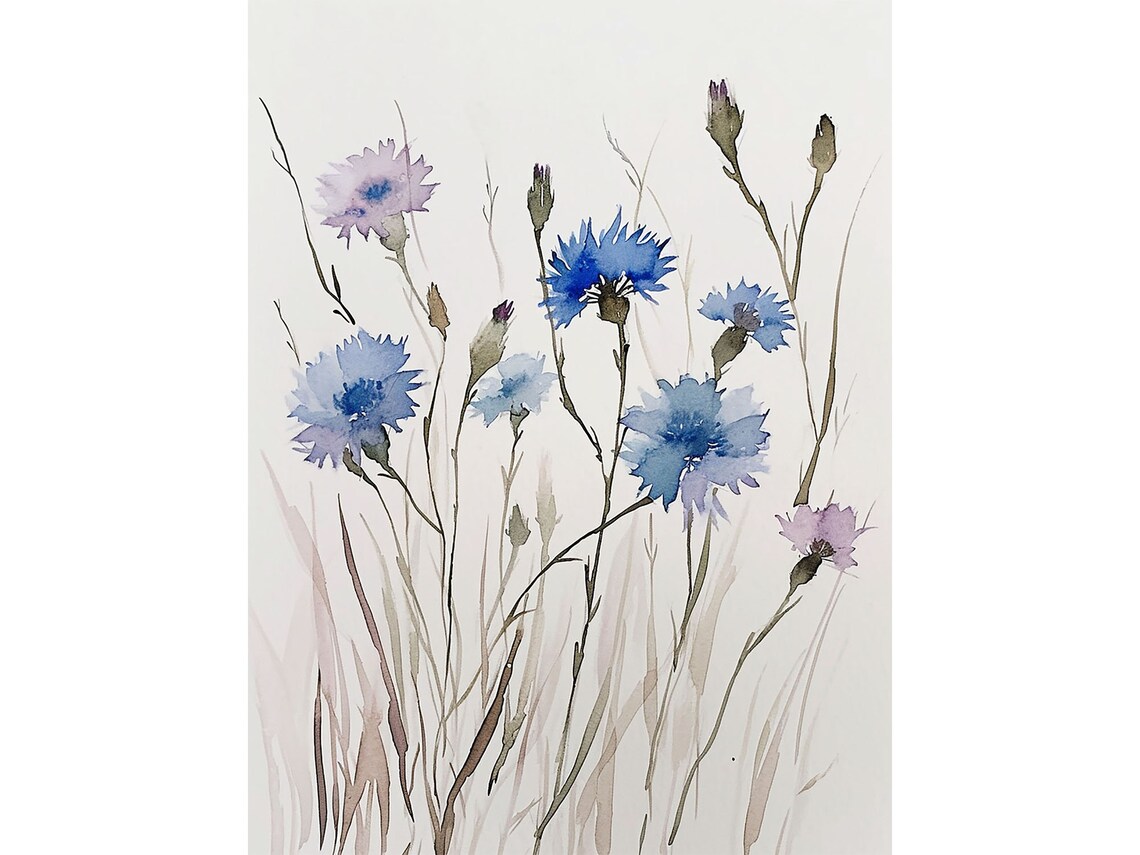 Blue Cornflower Wildflower Watercolor Botanical Floral Poster