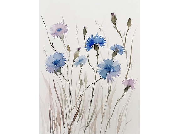 Blue Cornflower Wildflower Watercolor Botanical Floral Poster