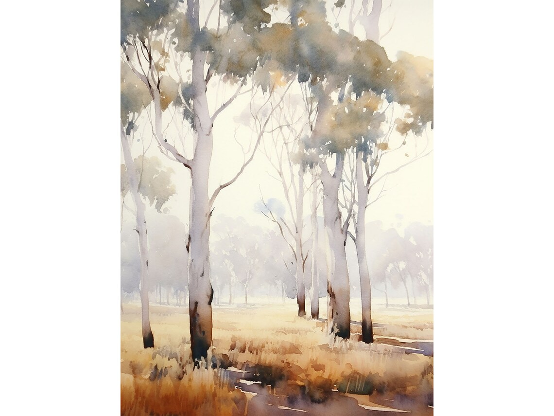 Eucalyptus Trees Santa Barbara Watercolor Art Print