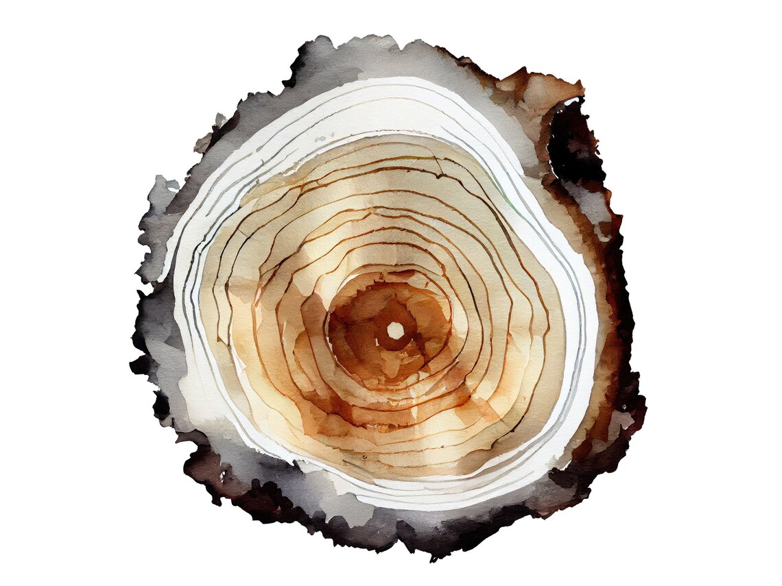 Sequoia Tree Ring Woodcut Poster, Neutral Cabin Decor