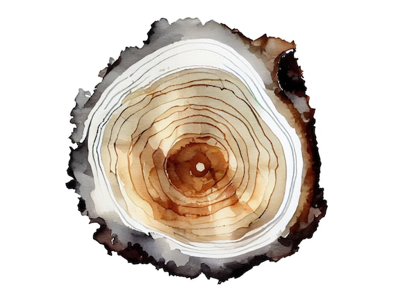 Sequoia Tree Ring Woodcut Poster, Neutral Cabin Decor
