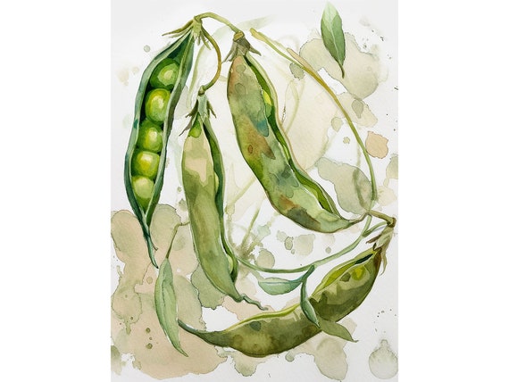 Pea Pods Watercolor Painting Kitchen Wall Art Print Vegetable Art Farmhouse Wall Decor