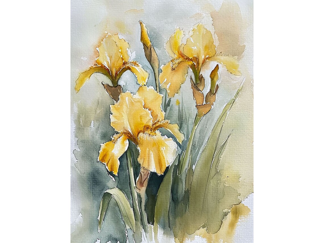 Yellow Irises Watercolor Art Print, Floral Botanical