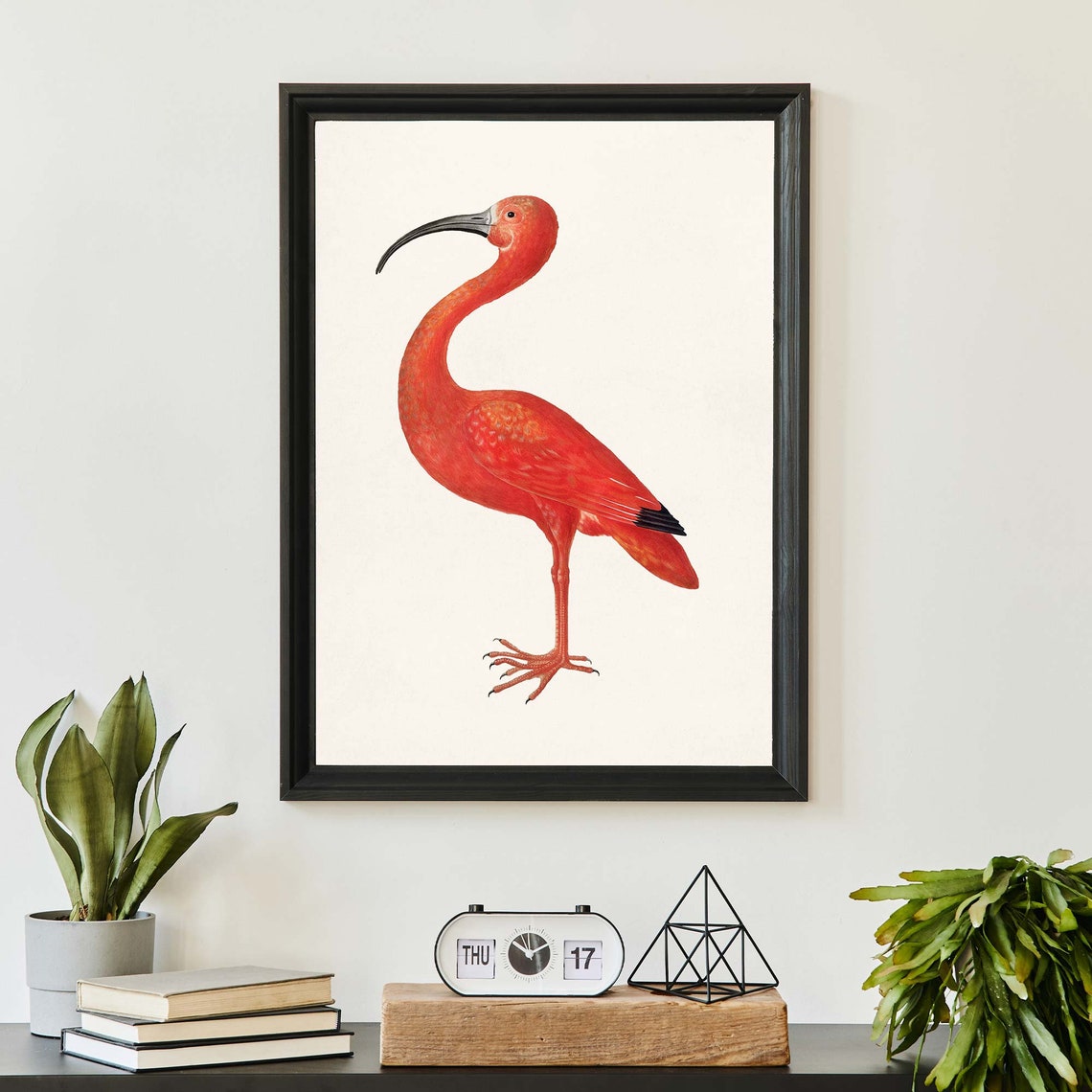 Vintage Scarlet Ibis Bird Illustration Red Tropical Bird Art Poster - Image 3