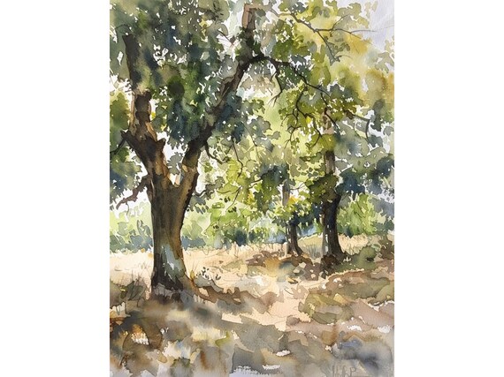 Oak Valley Watercolor Painting Louisiana Oak Park Art Print Travel Gifts By Feelingprints