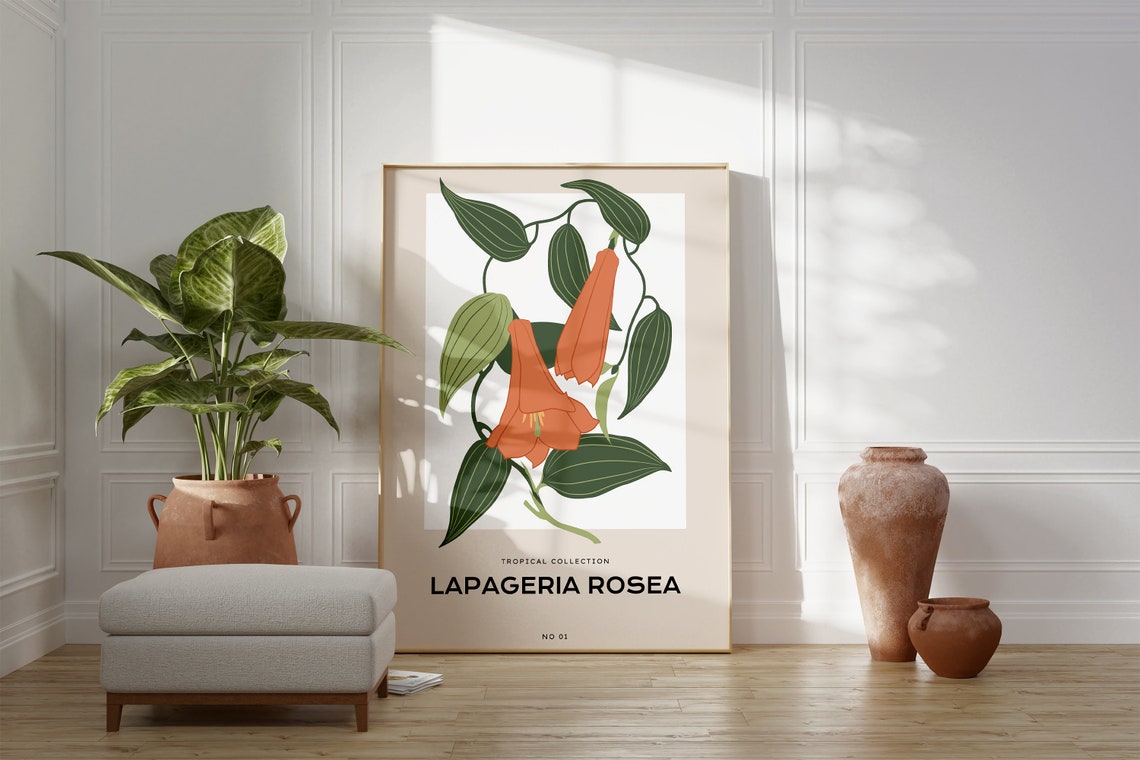 Lapageria Rosea Tropical Collection Botanical Study Wall Poster - Image 4