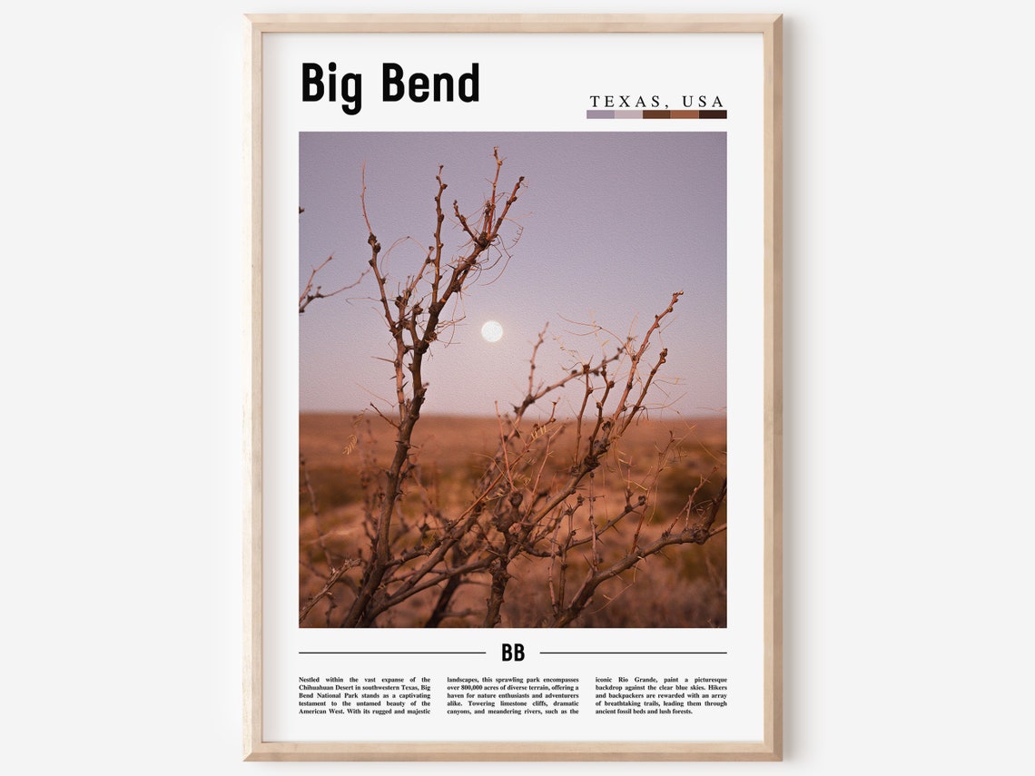 Big Bend Texas Desert Ocotillo Moon Night Sky National Park Poster