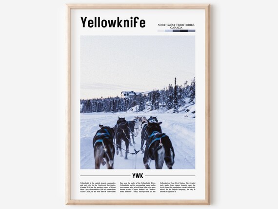 Yellowknife Canada Dog Sled Team Snowy Trail Winter Photo Poster