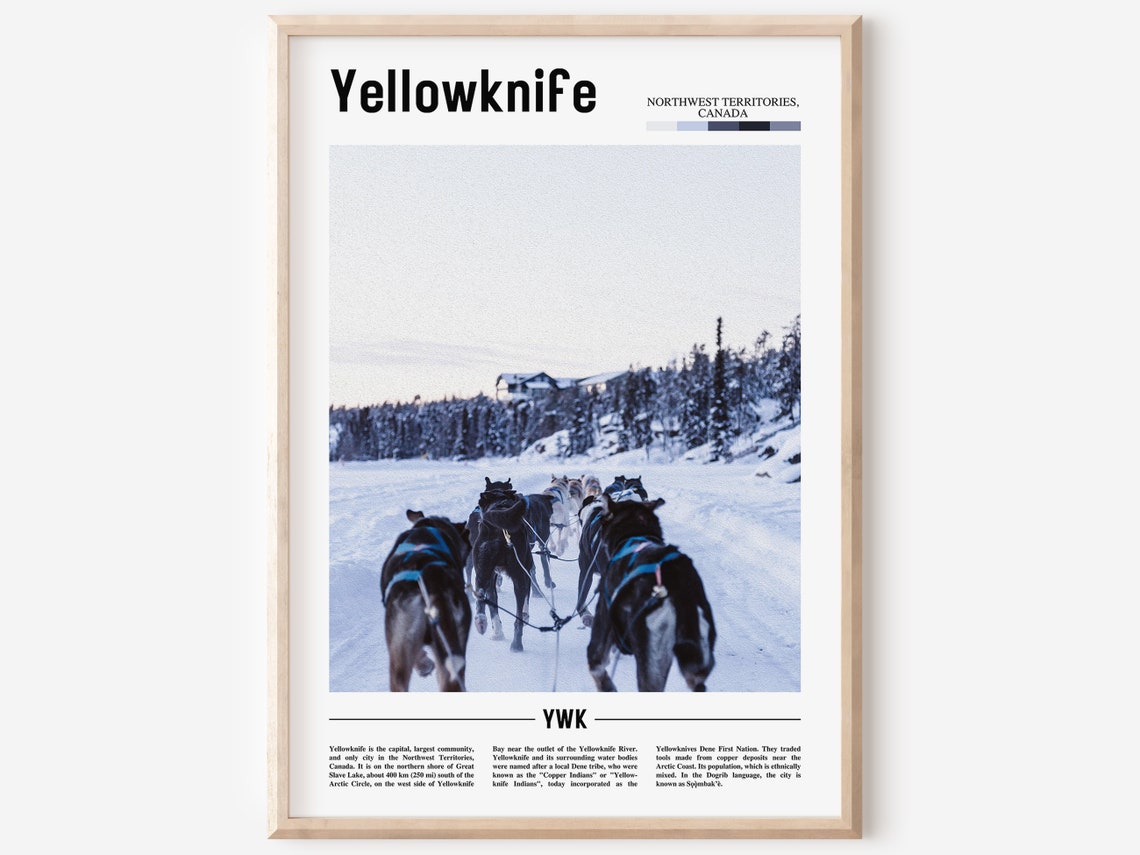 Yellowknife Canada Dog Sled Team Snowy Trail Winter Photo Poster