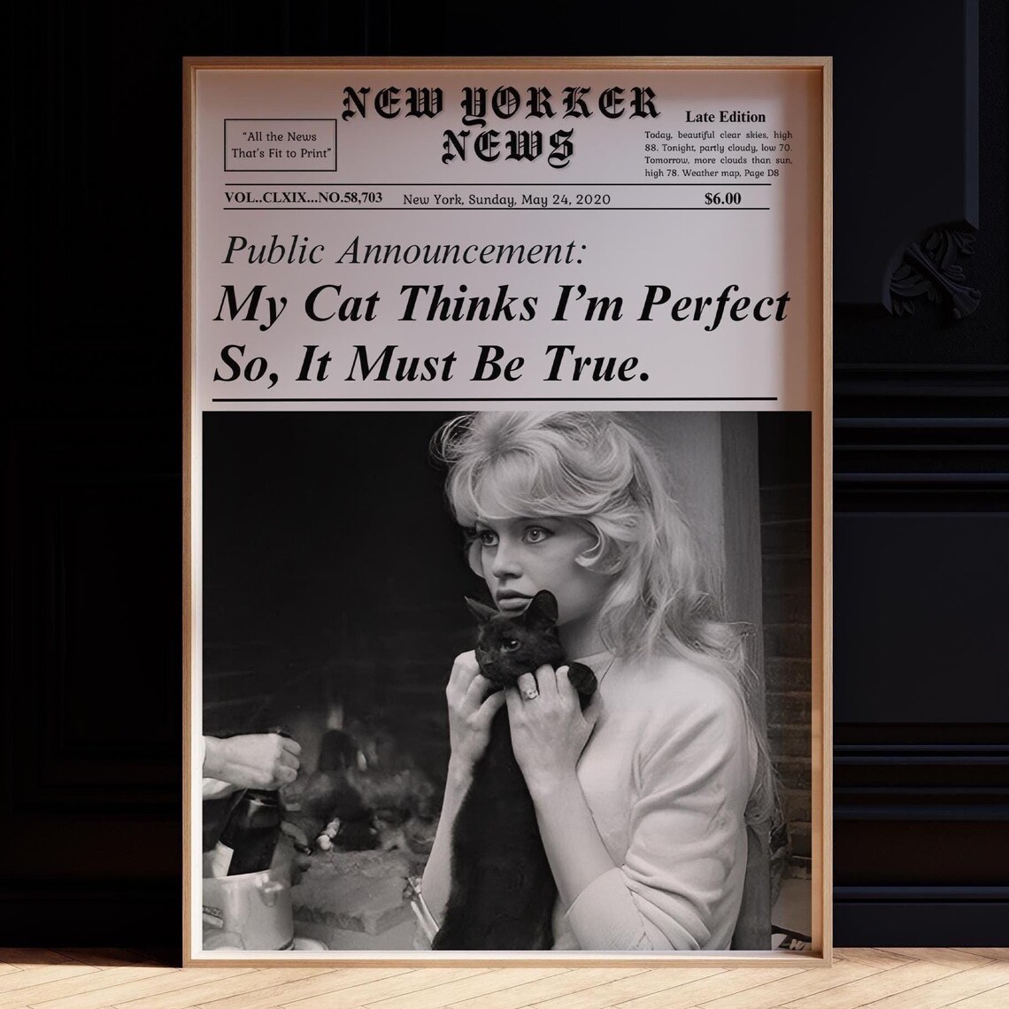 My Cat Thinks I'm Perfect Funny Newspaper Cat Mom Wall Poster