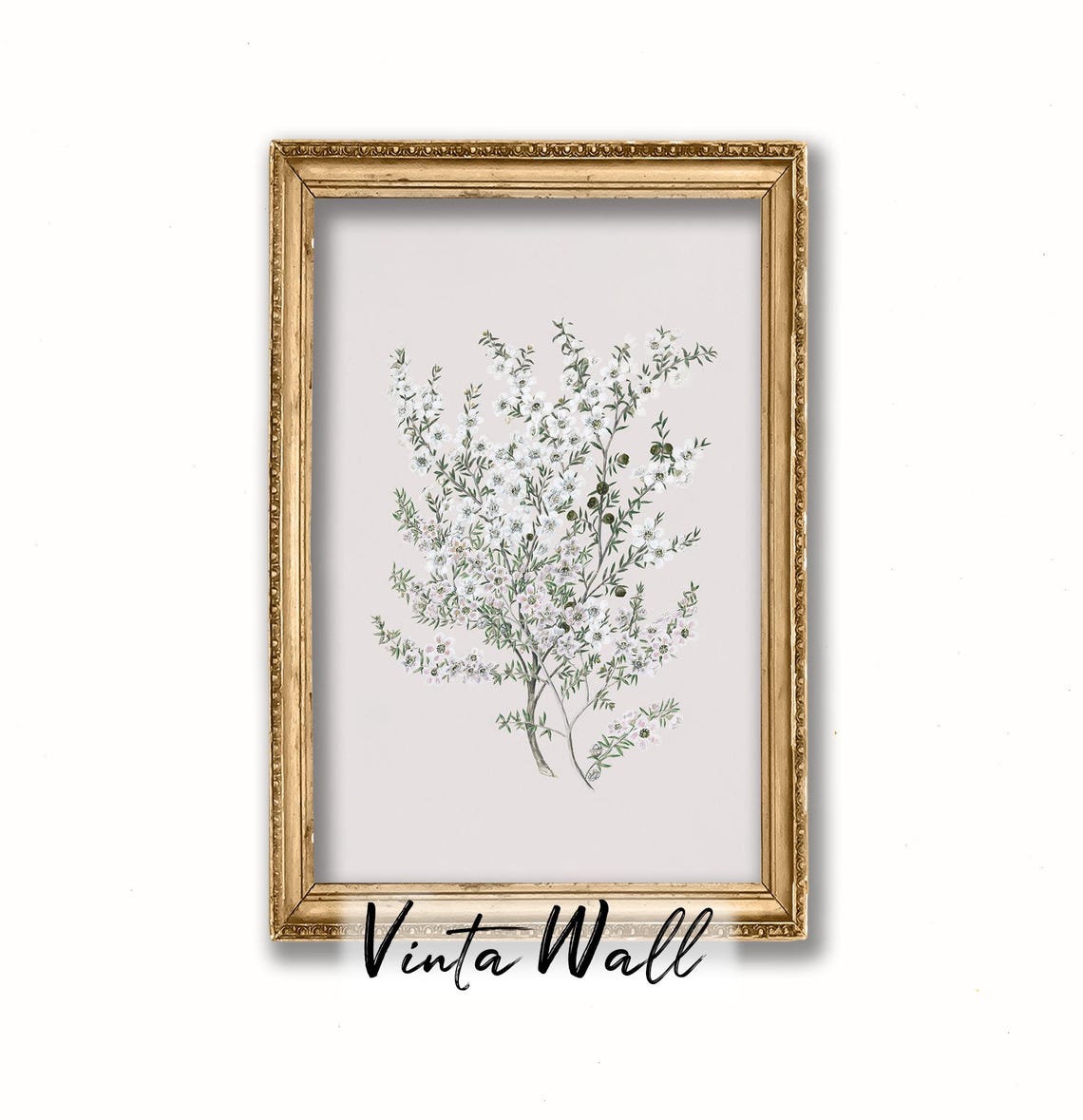 White Blossom Botanical Branch Minimal Vintage Flower Study Poster - Image 4